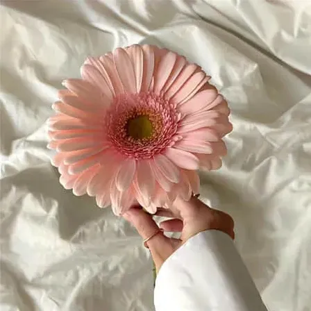 一辈子不想换的网名四字简单