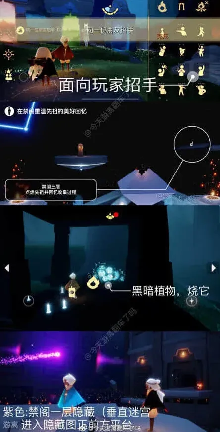 光遇禁阁