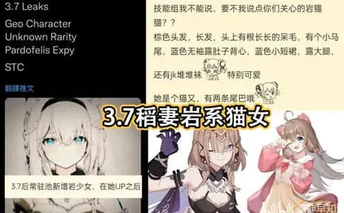 原神猫女