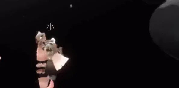 光遇好友