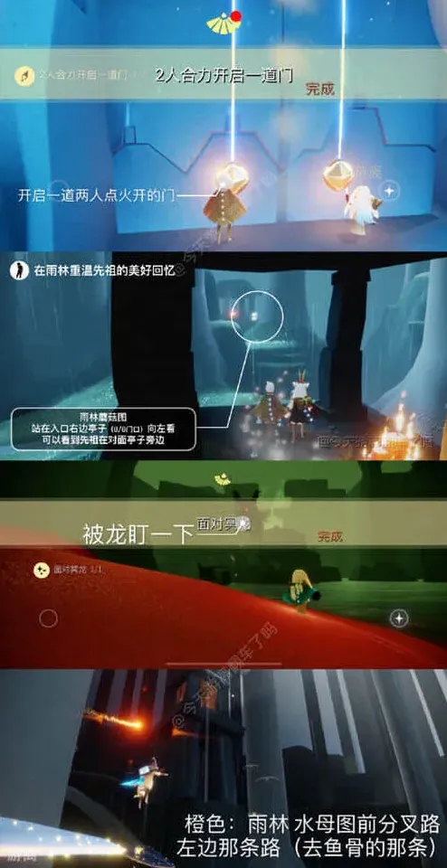 光遇雨林