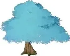 原神风花