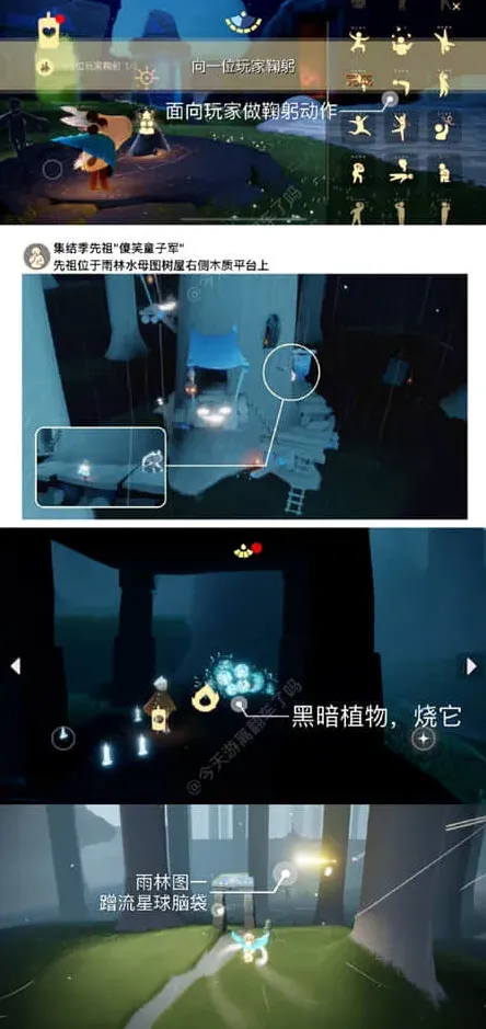 光遇鞠躬
