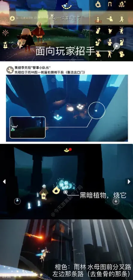 光遇一览