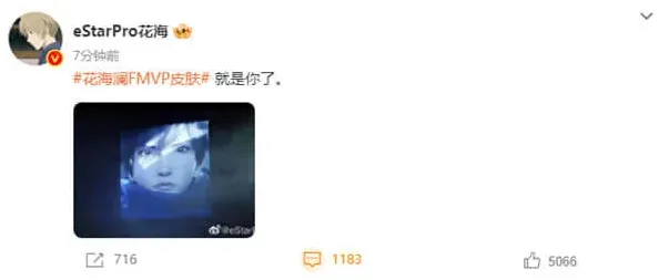 王者荣耀皮肤