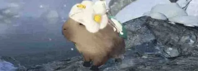 逆水寒卡皮