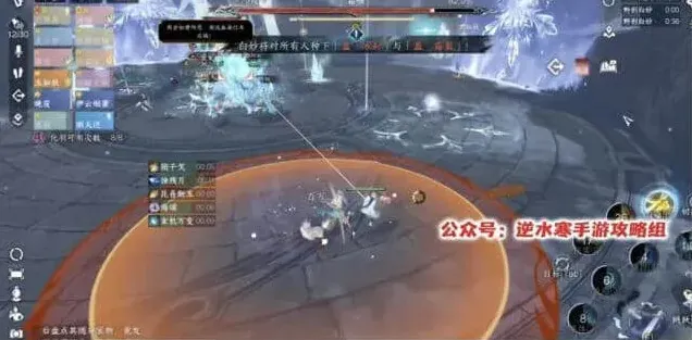逆水寒详解