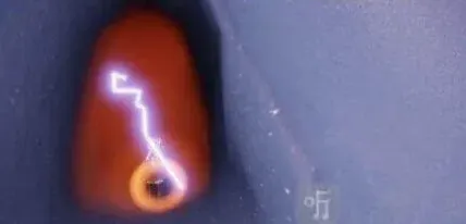光遇收集