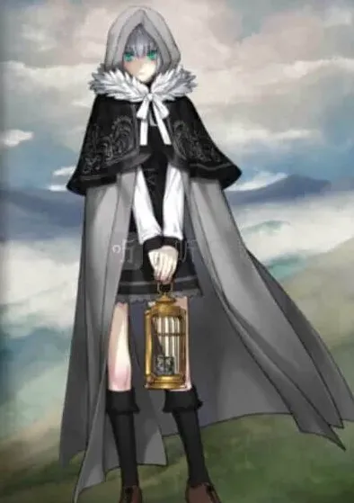 命运小灰