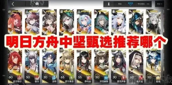 明日方舟中坚