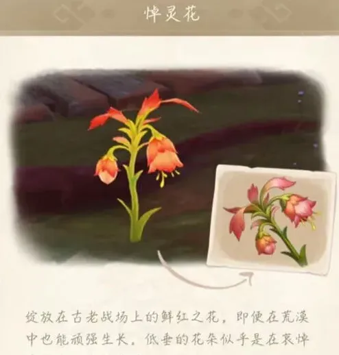 原神灵花