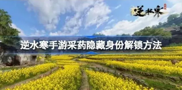 逆水寒隐藏身份