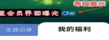 王者荣耀查看