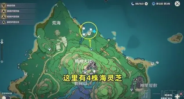 原神海灵芝