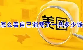 美团总额