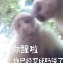 支付宝开证明