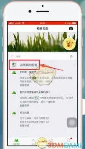 微信照片