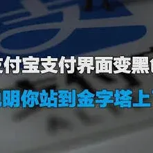 支付宝黑色
