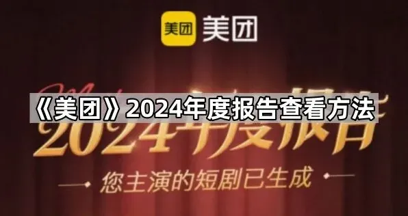 美团年度报告