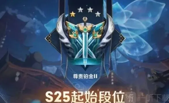 王者荣耀继承