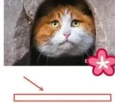 微信是什么意思