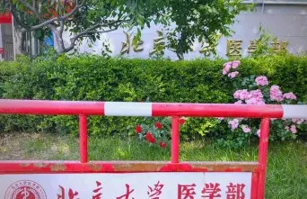 医学部