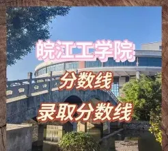 专任教师