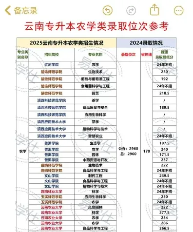 专科学历