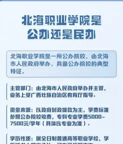 实训