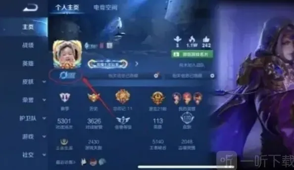 王者荣耀会员