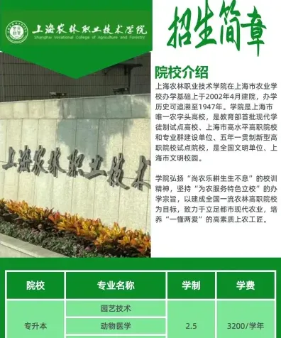 上海市