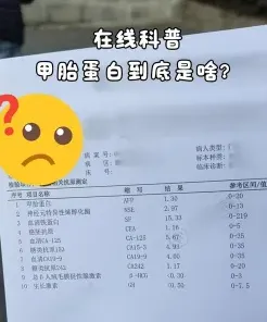 甲胎蛋白