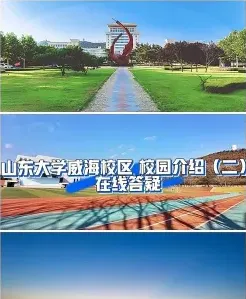 山东大学