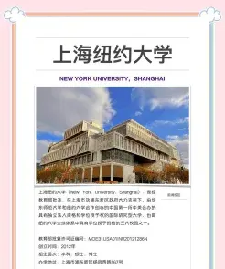 上海纽约大学