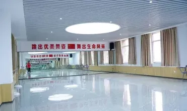 职业技术学院