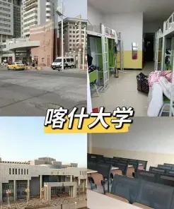 专任教师