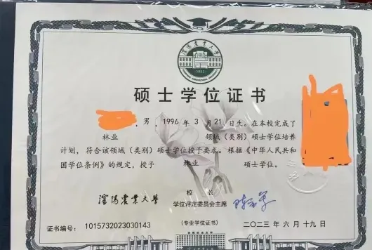 院校