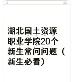 学校