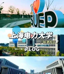 学校