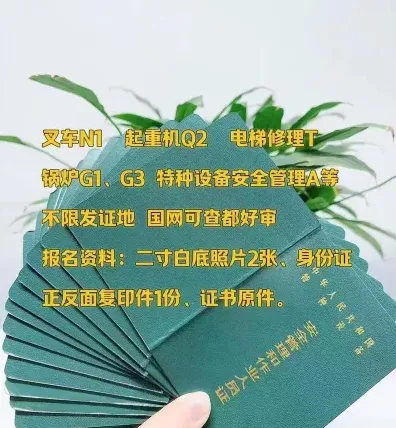 报名