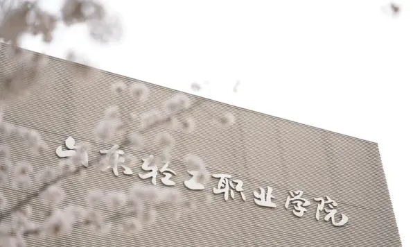 职业教育