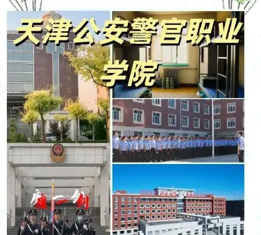 天津公安