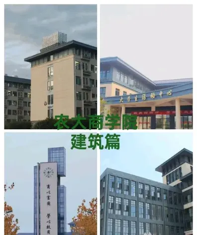 特色