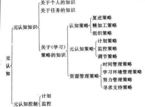 学习内容