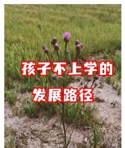 能力