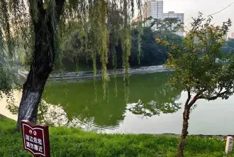 教学质量
