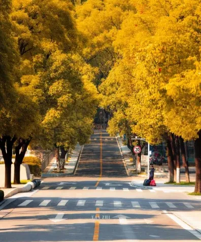 学校