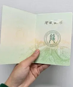 双证