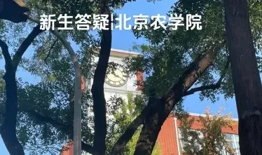 都市型