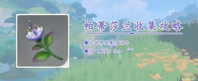原神莎兰